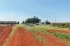 767, Peeramon QLD 4885-Image