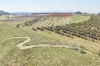 767, Peeramon QLD 4885-Image