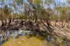 77 Frog Rock Road, Mudgee, NSW 2850-Image