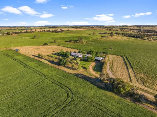 77 Kinvara Drive, Junee NSW 2663-Image