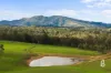 771 Mirannie Road, Singleton, NSW 2330-Image