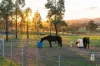 771 Mirannie Road, Singleton, NSW 2330-Image