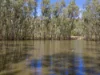 773 Boho Church Road, Boho, Vic 3669-Image