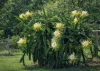 785 Old Coast Road, Kundabung, NSW 2441-Image