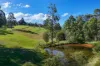 785 Old Coast Road, Kundabung, NSW 2441-Image