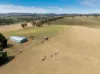79 Bloom Hill Road, O'Connell, NSW 2795-Image