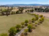 79 Bloom Hill Road, O'Connell, NSW 2795-Image