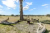79 Elms Road, Lade Vale, NSW 2581-Image