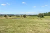 79 Elms Road, Lade Vale, NSW 2581-Image