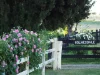 79 Thompson Road, Orange, NSW 2800
