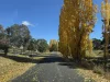 79 Thompson Road, Orange, NSW 2800-Image