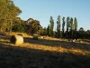 79 Thompson Road, Orange, NSW 2800-Image