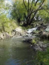 79 Thompson Road, Orange, NSW 2800-Image