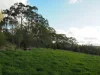 79 Thompson Road, Orange, NSW 2800-Image