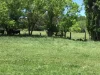 79 Thompson Road, Orange, NSW 2800-Image