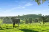 790 Kangaloon Road, Glenquarry NSW 2576-Image