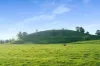 790 Kangaloon Road, Glenquarry NSW 2576-Image