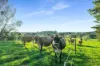 790 Kangaloon Road, Glenquarry NSW 2576-Image