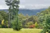 791 Kennedys Road, Yaouk, NSW 2629-Image