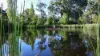 791 Kennedys Road, Yaouk, NSW 2629-Image