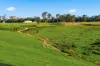 7953 Brockman Highway, Nannup WA 6275-Image