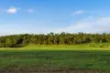 7953 Brockman Highway, Nannup WA 6275-Image