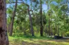7953 Brockman Highway, Nannup WA 6275-Image