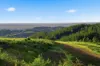 7953 Brockman Highway, Nannup WA 6275-Image