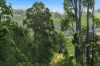 7953 Brockman Highway, Nannup WA 6275-Image