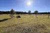 8/868 Jerrara Road, Marulan, NSW 2579-Image