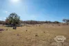 8 & 9, - Gulf Road, Emmaville, NSW 2371