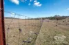 8 & 9, - Gulf Road, Emmaville, NSW 2371-Image