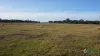 8 Seacombe Landing Road, Seacombe, Vic 3851-Image