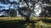 8 Seacombe Landing Road, Seacombe, Vic 3851-Image