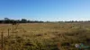 8 Seacombe Landing Road, Seacombe, Vic 3851-Image