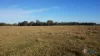 8 Seacombe Landing Road, Seacombe, Vic 3851-Image
