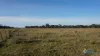 8 Seacombe Landing Road, Seacombe, Vic 3851-Image