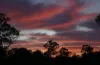 80 and 81, orchid drive, Millmerran Downs, Qld 4357-Image
