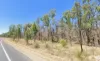 80 and 81, orchid drive, Millmerran Downs, Qld 4357-Image