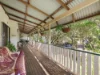 80 Billen Road, Georgica, NSW 2480-Image