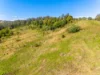 80 Billen Road, Georgica, NSW 2480-Image