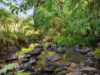 80 Billen Road, Georgica, NSW 2480-Image