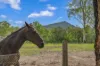 80 Dargavilles Road, Nabiac, NSW 2312-Image