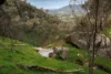 80 Dicksons Road, Indigo Valley, Vic 3688-Image