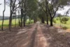 80 Dicksons Road, Indigo Valley, Vic 3688-Image