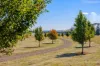 80 Victoria Road, Kingston, Vic 3364-Image