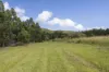 800 Firth Heinz Road, Pillar Valley, NSW 2462-Image