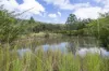 800 Firth Heinz Road, Pillar Valley, NSW 2462-Image