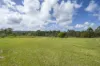 800 Firth Heinz Road, Pillar Valley, NSW 2462-Image