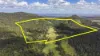 800 Firth Heinz Road, Pillar Valley, NSW 2462-Image